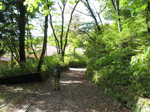 軽井沢の別荘地