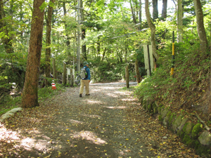 軽井沢の別荘地