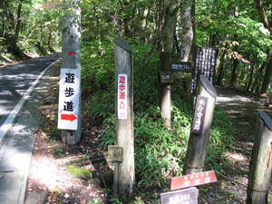 遊歩道入口